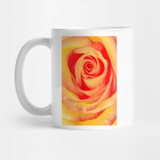 Rose Labyrinth Mug